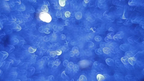 Blinking, glittering and sparkling blue bokeh lights inside the New Year or Vidéo 122413580