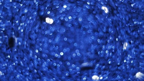 Blinking, glittering and sparkling blue bokeh lights inside the New Year or Vidéo 123615807