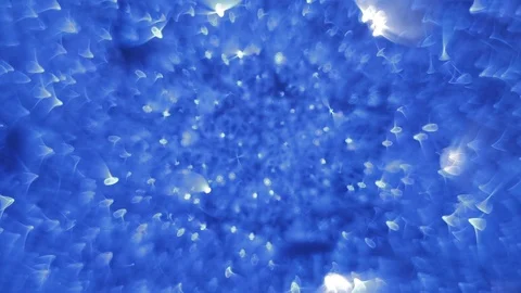 Blinking, glittering and sparkling blue bokeh lights inside the New Year or Vidéo 125931763