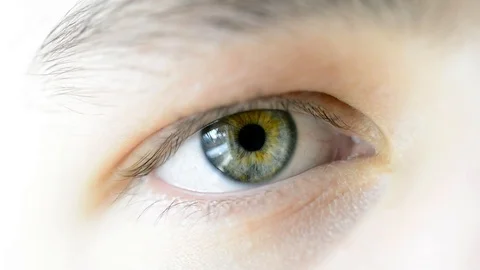 Blinking green  eye on focus Stock Footage 101460497