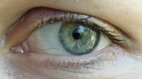Blinking human eye, extreme closeup, macro 4K UHD Vídeo Stock 63372485