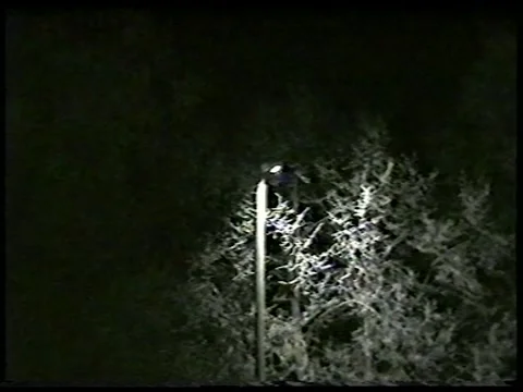 Blinking Lamp Stock Footage 340541701