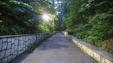 Blinking lantern on the forest road Stock Footage 111922177