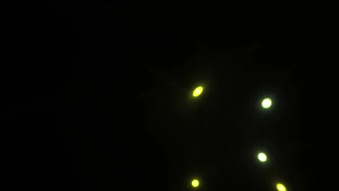 Blinking LED indicator lights on a dark electronic control panel. Stock Footage 340525238
