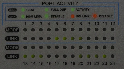 Blinking LEDs on a network switch Stock Footage 74276857