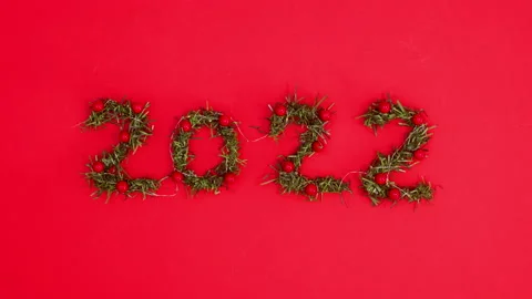 Blinking lights on 2022 year made of pine branches and red berries. Stop motion Stock Footage 162033348