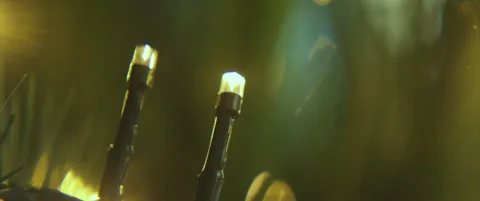 Blinking lights on Christmas tree close-up 4K scope video Stock Footage 323428391