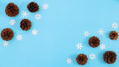 Blinking lights on decoration with pine cones and snowflakes  Stop motion Vidéo 144382786