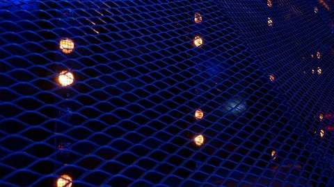 Blinking Lights in Front of Stage Stock Footage 81563974