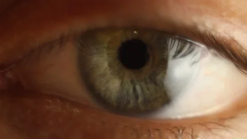 Blinking male eye close-up looking around. red artery on the eyeball macro Stock Footage 108377238