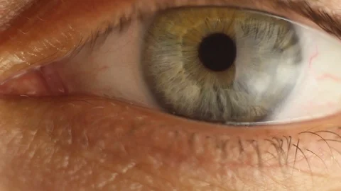 Blinking male eye close-up looking around. red artery on the eyeball macro Stock Footage 108379834