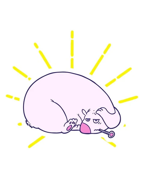 Blinking radial lines animation of bear with a sore head Stock Footage 324215420