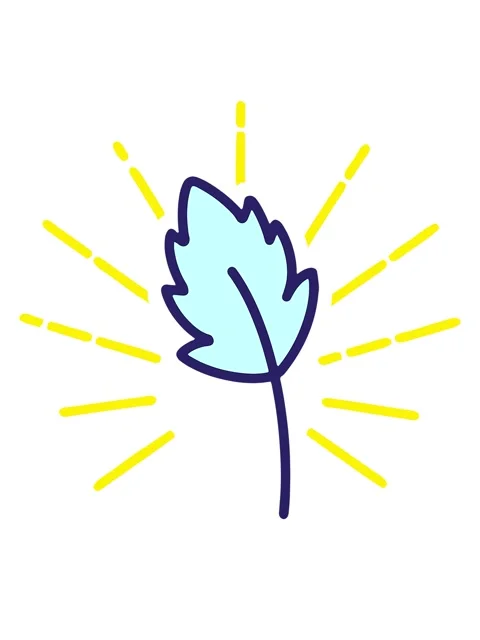 Blinking radial lines animation of simple leaf cartoon Video stock 324179580