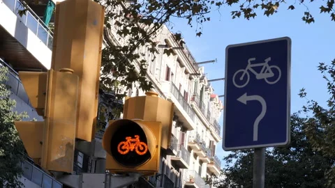 Blinking traffic light for bikes - close up Stock Footage 99149901