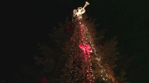 Blinking Tree Colorful Christmas Holiday Light Show Stock Footage 35190810