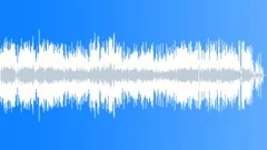 Blinnaya - Delovaya - 2Stock Music