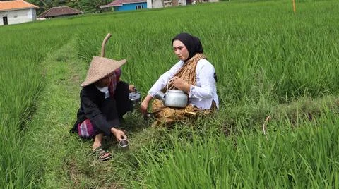 Bliss in the tranquility of the countryside Stock Photos