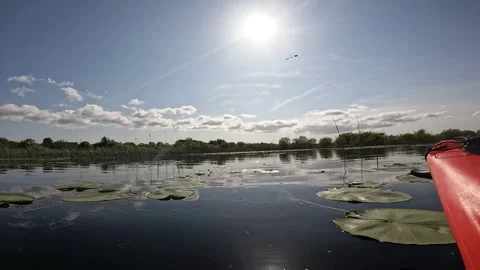 Blissful view Stock Footage 243595021