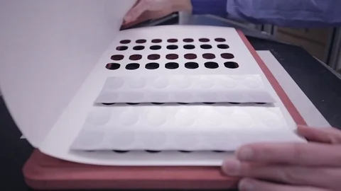 Blister Packaging Machine - Preparing a Mould Stock Footage 71455309