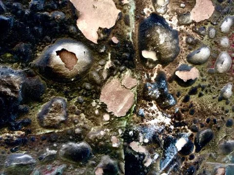 Blistered Paint After the Fire 24 Stock Photos