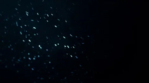 Blizzard, abstract composition from chaotic flying sparkles like a snow Stock Footage 69213818