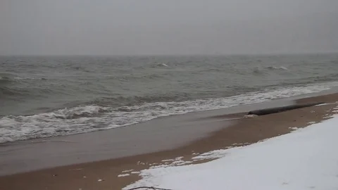 Blizzard and the running waves on the sandy snow coast of a reservoir Stock Footage 73512649