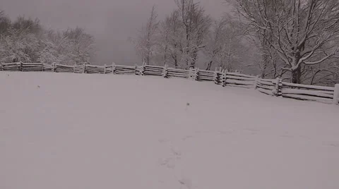 Blizzard and snow storm scenes from Canadian cold winter in Ontario Stock Footage 48831713