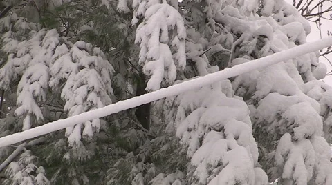 Blizzard and snow storm scenes from Canadian cold winter in Ontario Stock Footage 48832979