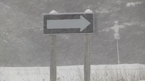 Blizzard and snow storm scenes from Canadian cold winter in Ontario Stock Footage 48846167