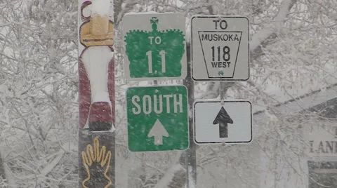 Blizzard and snow storm scenes from Canadian cold winter in Ontario Stock Footage 48846332