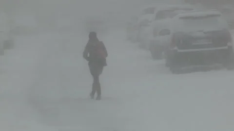 Blizzard and snow storm scenes from Canadian cold winter in Ontario Stock Footage 48846422