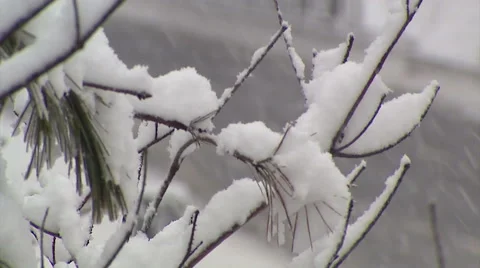 Blizzard and snow storm scenes from Canadian cold winter in Ontario Stock Footage 48847128