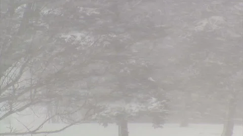 Blizzard and snow storm scenes from Canadian cold winter in Ontario Stock Footage 48847324