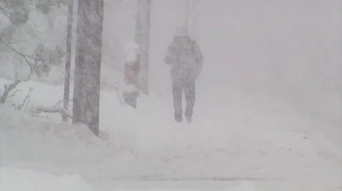 Blizzard and snow storm scenes from Canadian cold winter in Ontario Stock Footage 48847602