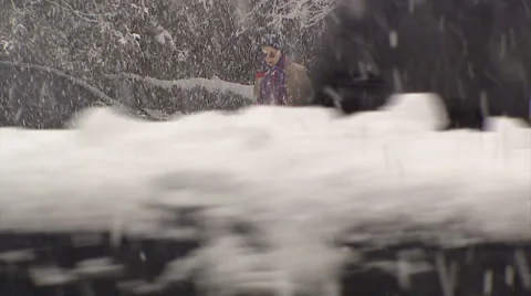 Blizzard and snow storm scenes from Canadian cold winter in Ontario Stock Footage 48848626