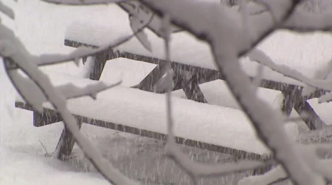 Blizzard and snow storm scenes from Canadian cold winter in Ontario Stock Footage 48848721