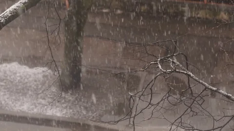 Blizzard and snowfall. 4K UHD Stock Footage 72790205