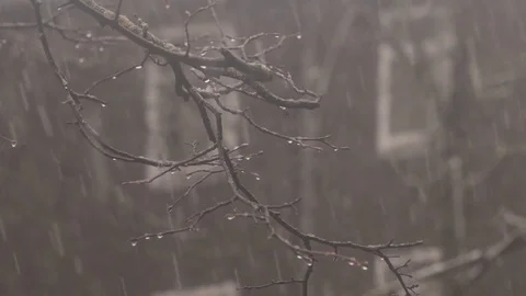 Blizzard and snowfall. 4K UHD Stock Footage 72790267