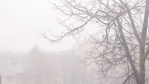 Blizzard and snowfall. 4K UHD Stock Footage 72790323