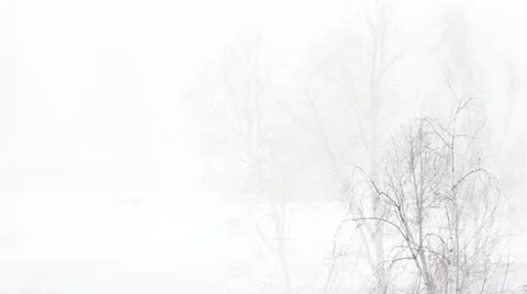 Blizzard and strong winds in the park, Full HD Stock Footage 22220524