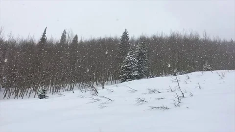Blizzard and winter snow storm in Crested Butte Colorado Stock Footage 74301532