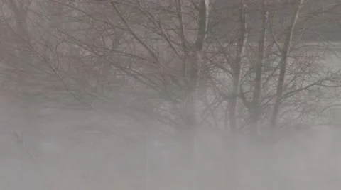 Blizzard Blowing Snow Video stock 21245657