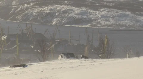 A Blizzard blows into the hillside amid a sea port. Stock Footage 64288129
