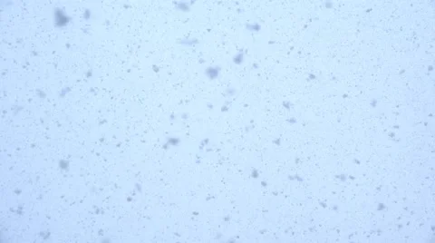 Blizzard blue background Stock Footage 49256699