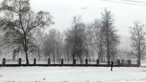 Blizzard in the city Stock Footage 234978732