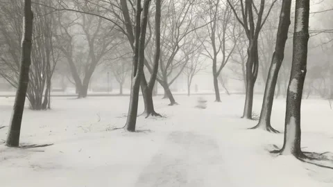 Blizzard in the city Stock Footage 234978788