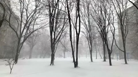 Blizzard in the city, heavy snowfall with wind in the city Stock Footage 234978727