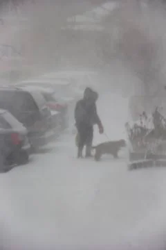 A blizzard in the city Stock Photos