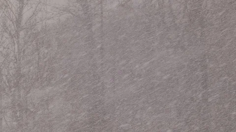 Blizzard conditions during snowsquall Stock Footage 70704212