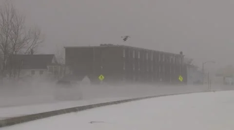 Blizzard Conditions Video stock 21245998